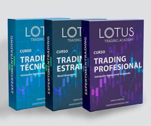 Aprende trading con nuestra academia