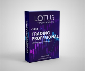 curso de trading profesional