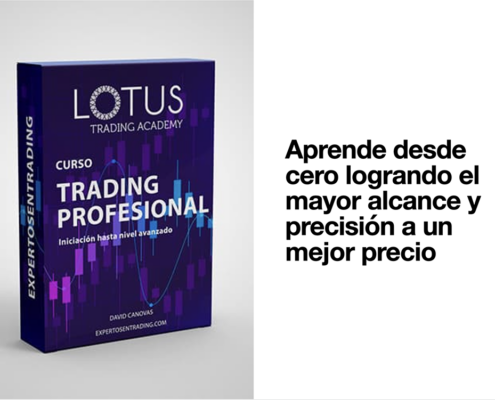 curso de trading profesional