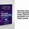curso de trading profesional