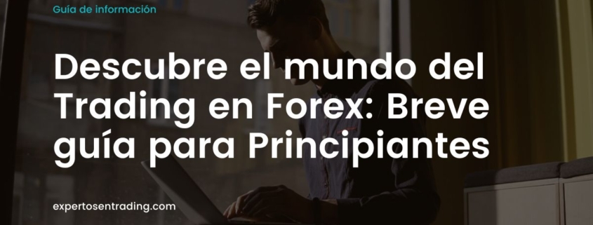 Descubre el mundo del Trading en Forex: Breve guía para Principiantes