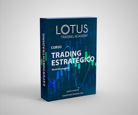 Curso de Trading Avanzado Estándar