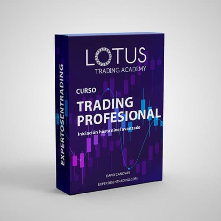 Curso de Trading Profesional Estándar