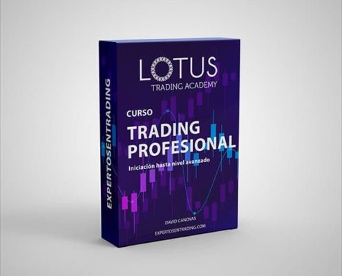Curso de Trading Profesional Estándar