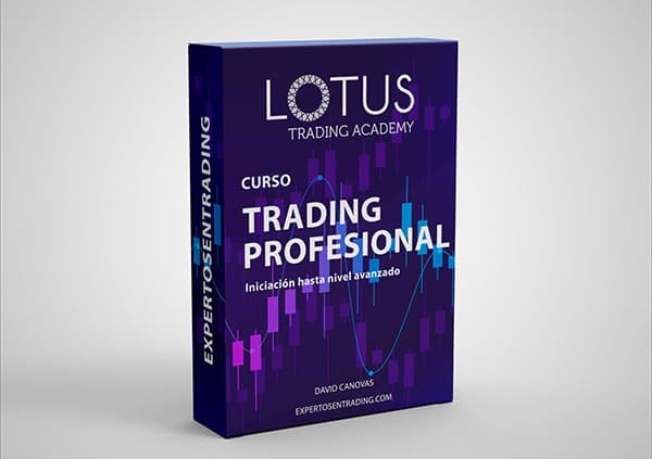 Curso de Trading Profesional Estándar