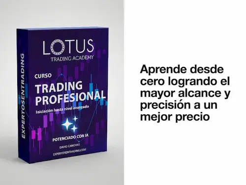Curso de Trading Profesional