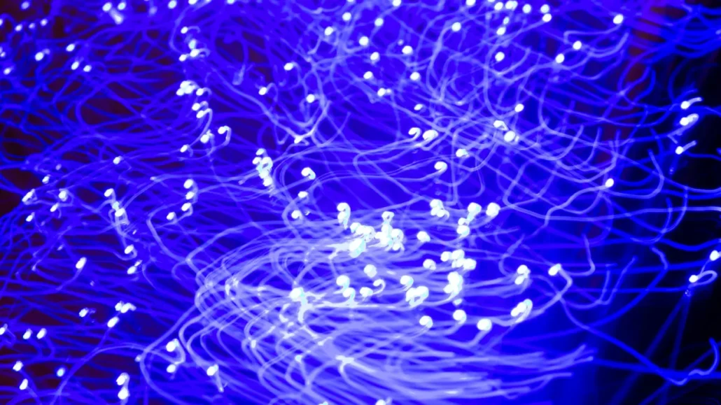 Red neuronal iluminada en azul/púrpura imagen conceptual